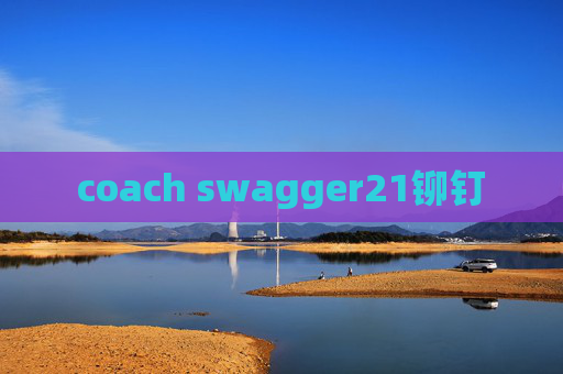 coach swagger21铆钉